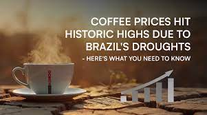 Brewing Smarter in 2025: How Connect Coffee Ohio Keeps Quality High and Prices Fair